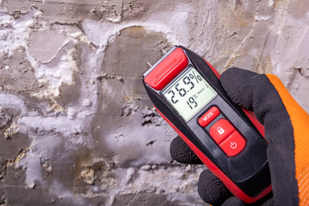 Best Mold Cleaning Services  in Navy, VA