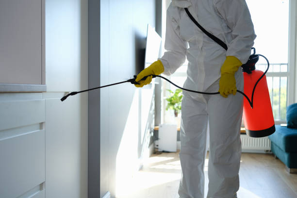 Best Commercial Mold Removal  in Navy, VA