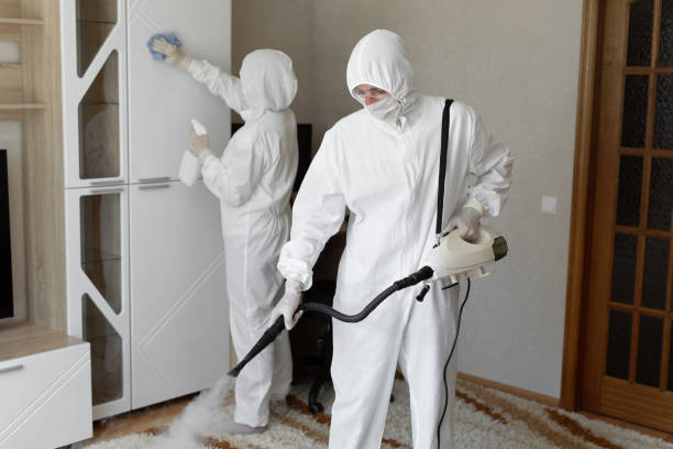 Mold Testing and Removal in Navy, VA