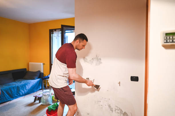 Best Residential Mold Removal  in Navy, VA