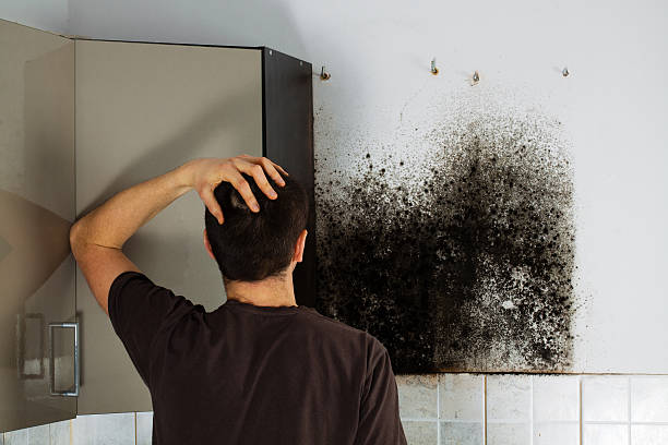 Water Damage Restoration in Navy, VA